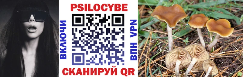 Галлюциногенные грибы мухоморы где продают Тихорецк