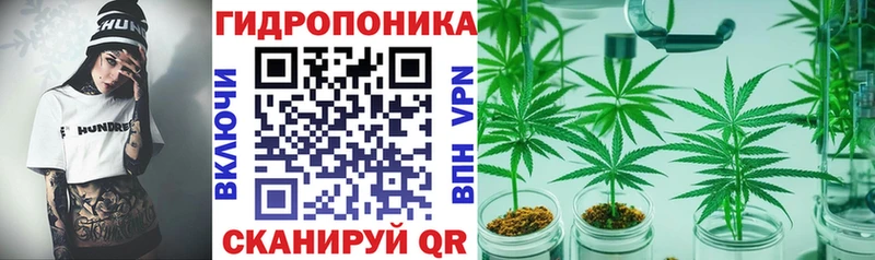 Бошки Шишки гибрид  darknet состав  Тихорецк  как найти   omg ТОР 
